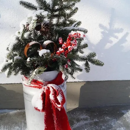 Bauernhof Grieslehen 3* Leogang