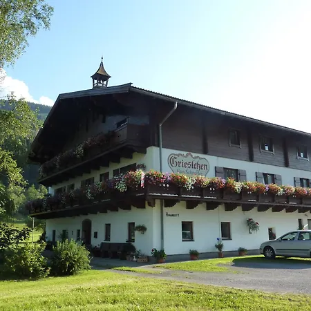 Bauernhof Grieslehen 3* Leogang