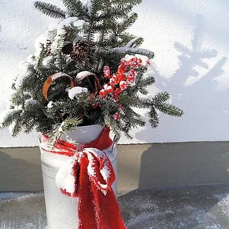 Bauernhof Grieslehen Bed & Breakfast Leogang